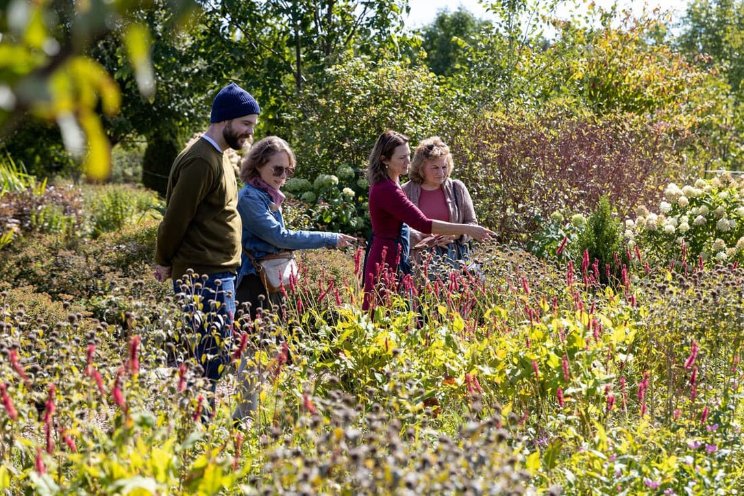 2026 Season 'Taste & Tour' Tea Farm Masterclass Workshops (June-Sept)