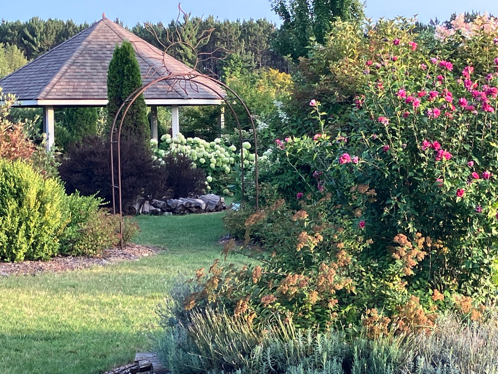 2026 Season 'Taste & Tour' Tea Farm Masterclass Workshops (June-Sept)