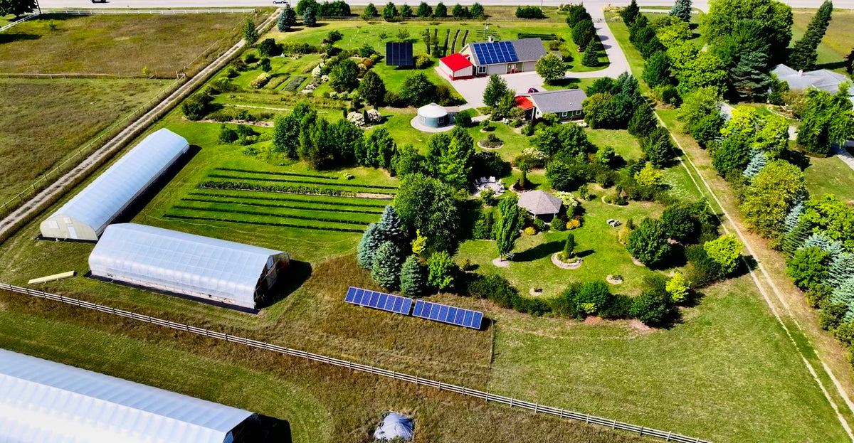 2026 Season 'Taste & Tour' Tea Farm Masterclass Workshops (June-Sept)