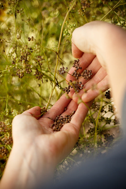 2026 Season PRIVATE FARM TOUR BY APPOINTMENT (May-September)