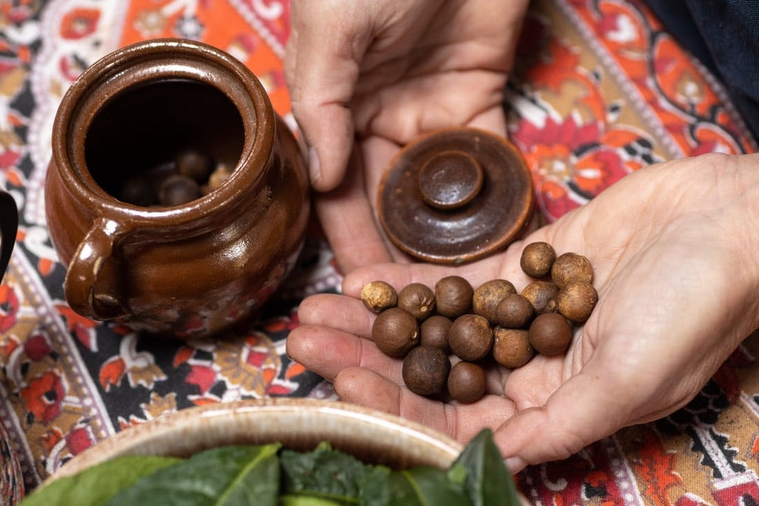 2026 Season 'Taste & Tour' Tea Farm Masterclass Workshops (June-Sept)