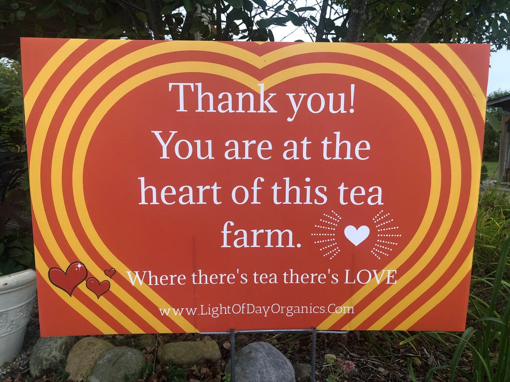 2026 Season 'Taste & Tour' Tea Farm Masterclass Workshops (June-Sept)