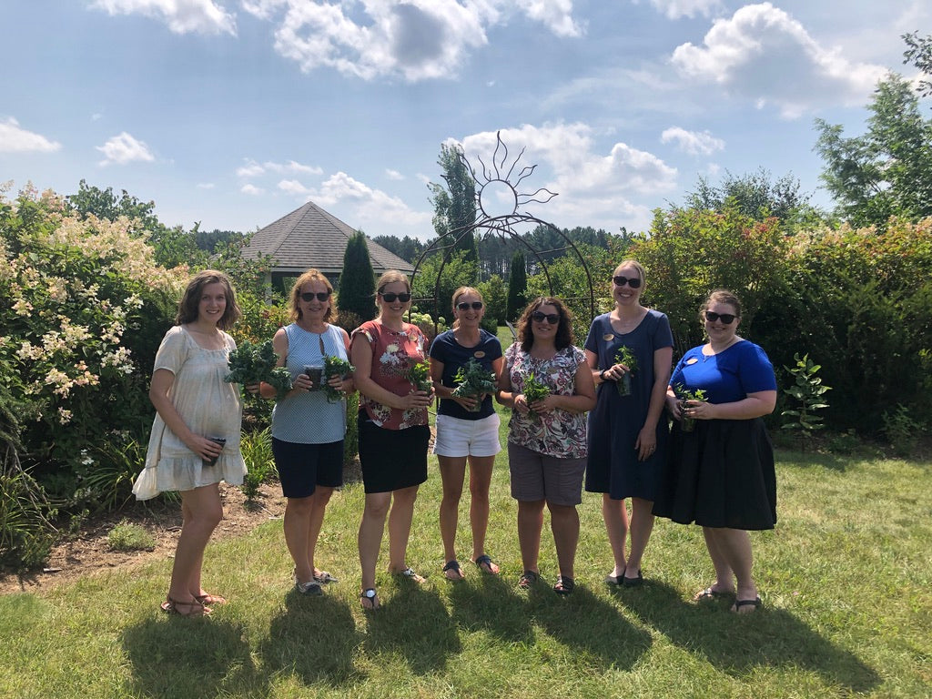 2026 Season 'Taste & Tour' Tea Farm Masterclass Workshops (June-Sept)