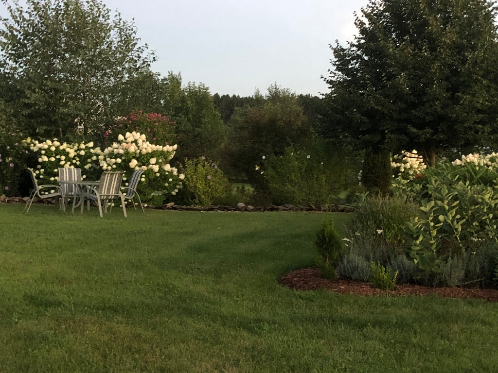 Venue Rental: Yurt, Gazebo, Meditation Garden, Courtyard for Private  Events