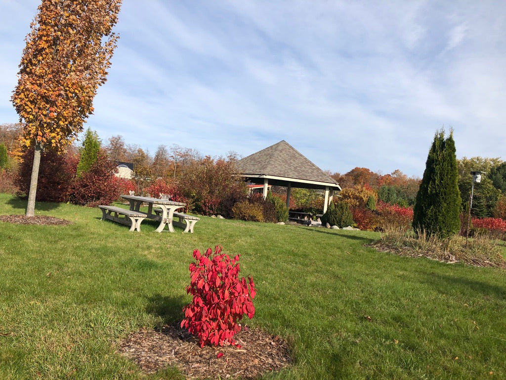 Venue Rental: Yurt, Gazebo, Meditation Garden, Courtyard for Private  Events