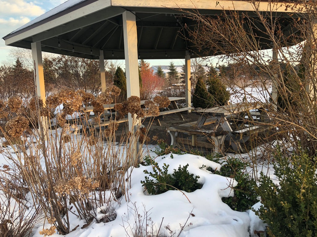 Venue Rental: Yurt, Gazebo, Meditation Garden, Courtyard for Private  Events