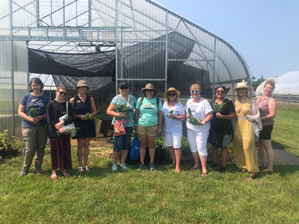 2026 Season 'Taste & Tour' Tea Farm Masterclass Workshops (June-Sept)