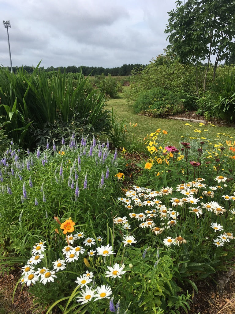 Venue Rental: Yurt, Gazebo, Meditation Garden, Courtyard for Private  Events