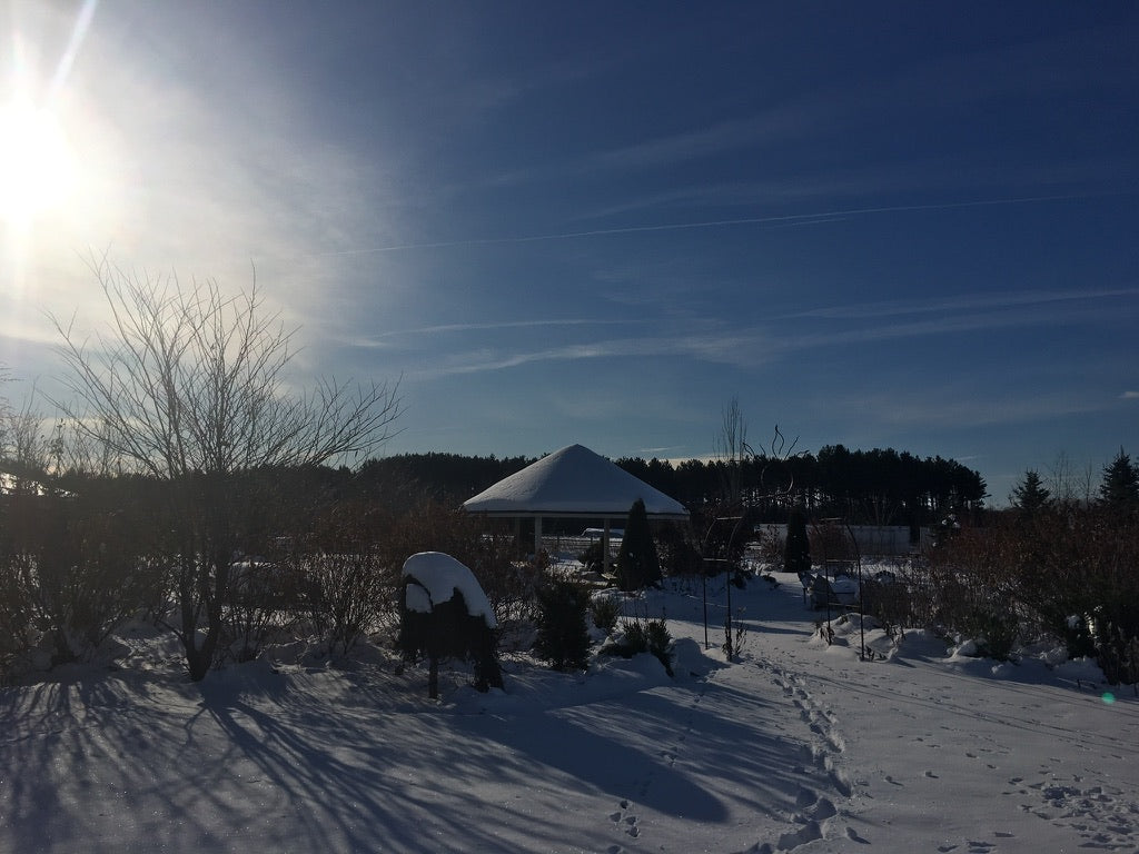 Venue Rental: Yurt, Gazebo, Meditation Garden, Courtyard for Private  Events
