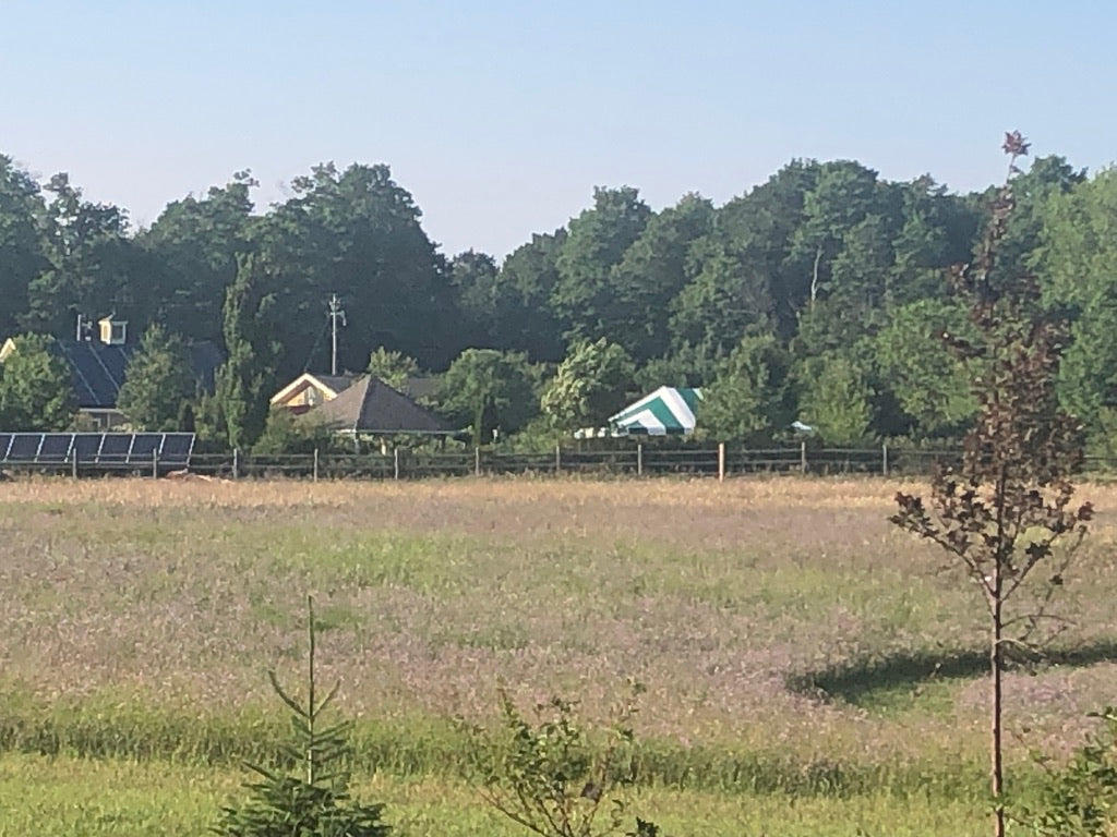 Venue Rental: Yurt, Gazebo, Meditation Garden, Courtyard for Private  Events