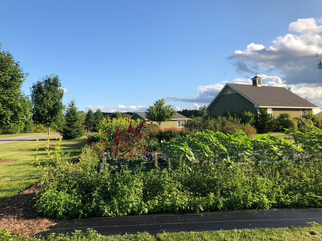 Venue Rental: Yurt, Gazebo, Meditation Garden, Courtyard for Private  Events