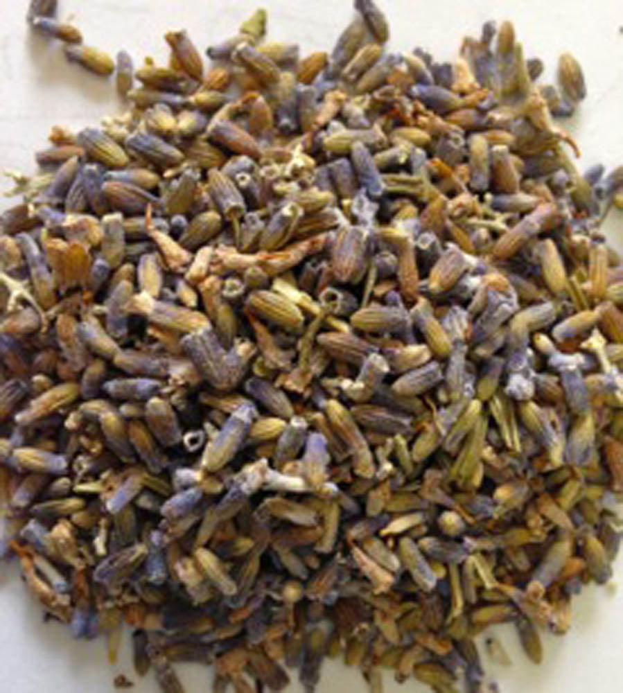 Lavender - Finest Culinary Grade (100% Grown Here)