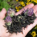 Bumble Blossom (Oolong Tea, Caffeinated)