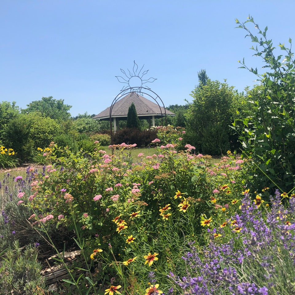 Venue Rental: Yurt, Gazebo, Meditation Garden, Courtyard for Private  Events