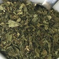 Peppermint Leaf Tea (Herbal, No Caffeine)