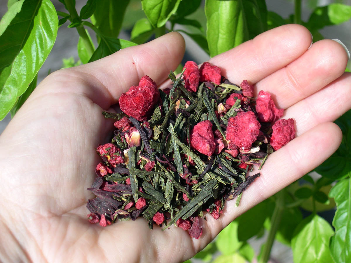 Red Raspberry Green (Green Tea, Caffeinated, Chakra #1)