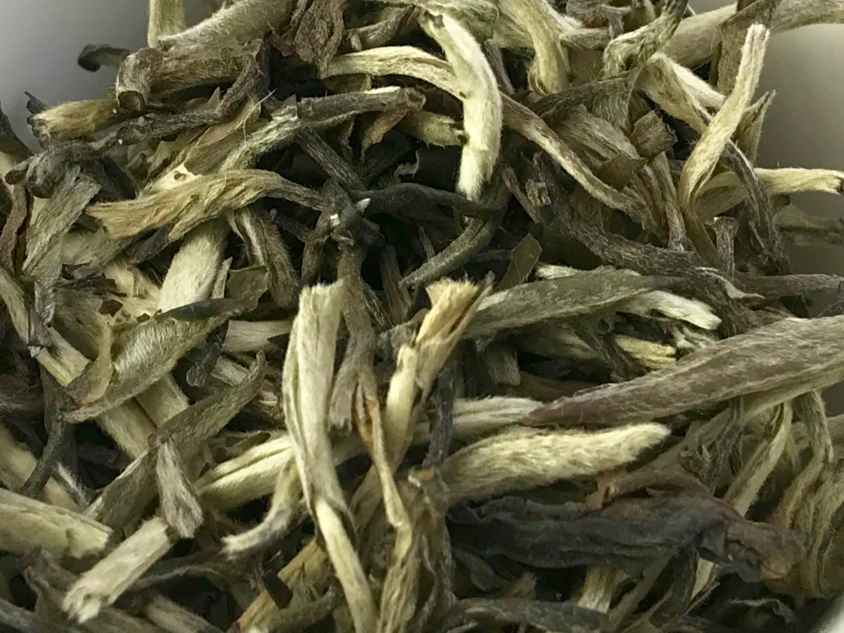 Cherished Silver Needles (White tea, Caffeinated)