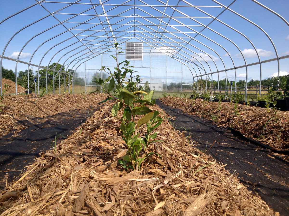 2026 Season PRIVATE FARM TOUR BY APPOINTMENT (May-September)