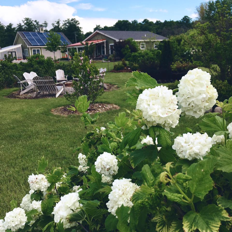 Venue Rental: Yurt, Gazebo, Meditation Garden, Courtyard for Private  Events